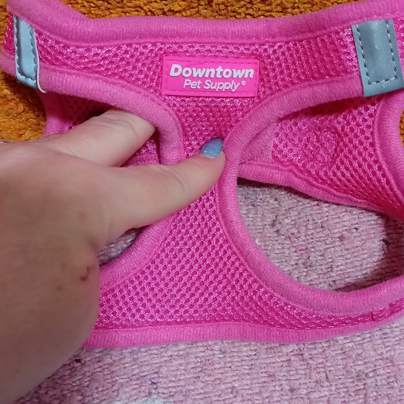 Dog harnessed - Picture 1 of 4